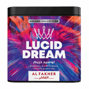 LUCID_DREAM_2